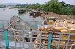 Doanh nghiệp xuất khẩu cao su phản ứng ra sao trước việc Trung Quốc phá giá đồng Nhân dân tệ?